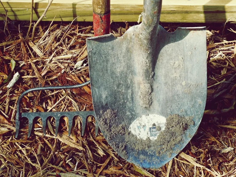 Basic Tools Toolbox
