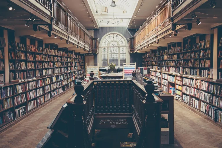 Book Display Bookstore Shelf