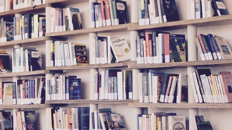 Book Shelves Library Interior