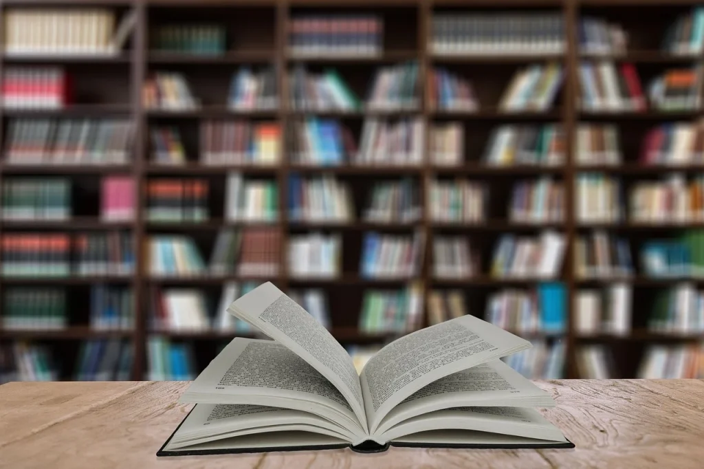 Bookstore Shelf Book Rack