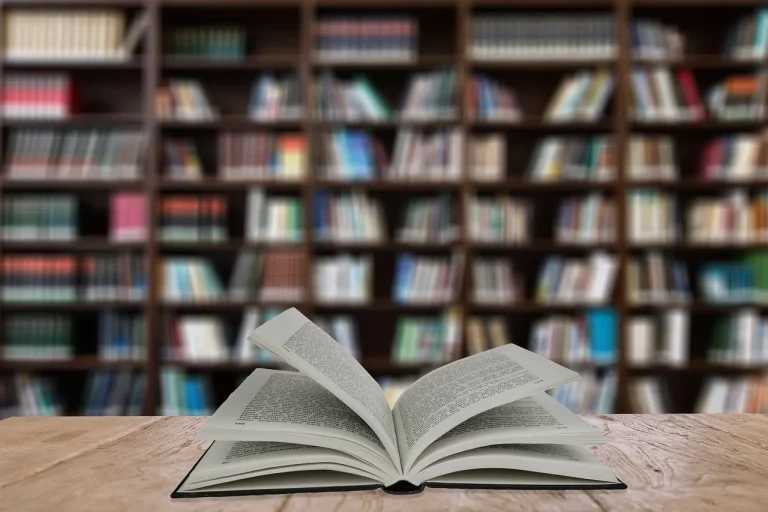 Bookstore Shelf Book Rack