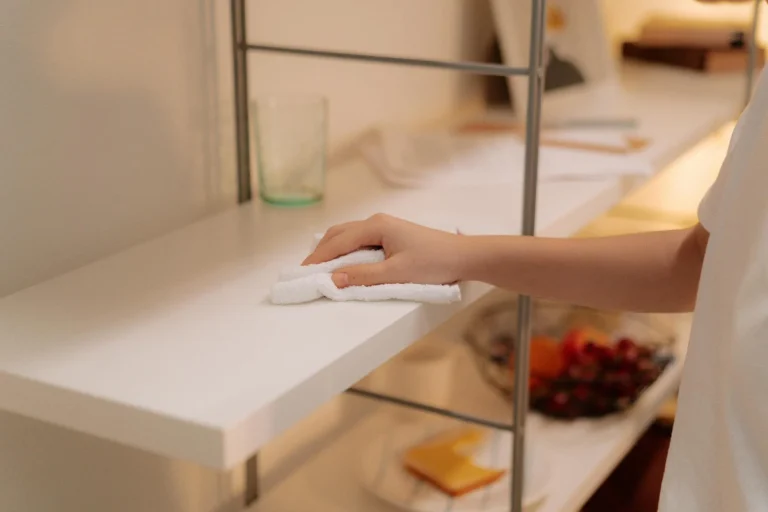 Clean Shelf Tidy Store