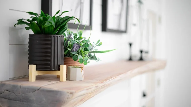 Cleaning Shelves Dust Removal