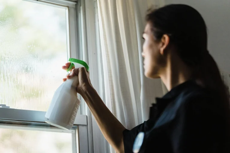 Cleaning Spray Wiping Cloth