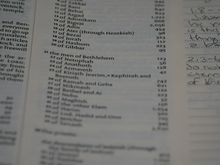 Cost Calculation Budget Sheet