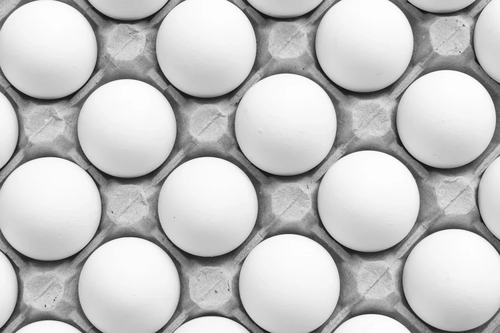 Egg Rack Convenience Store