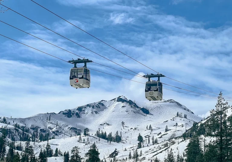 Gondola Rack Store Shelving