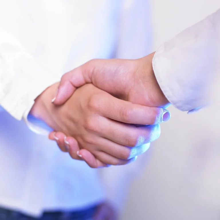 Handshake Business Meeting
