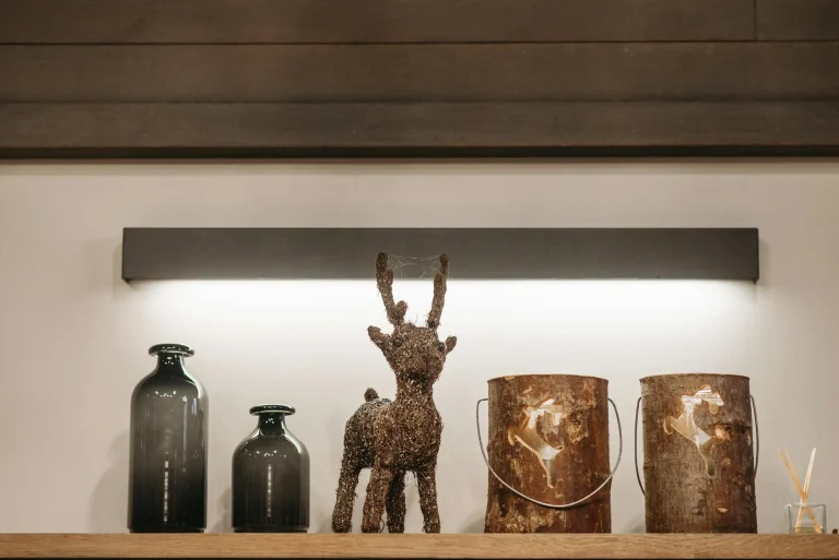 Heavy Duty Shelf Light Shelf