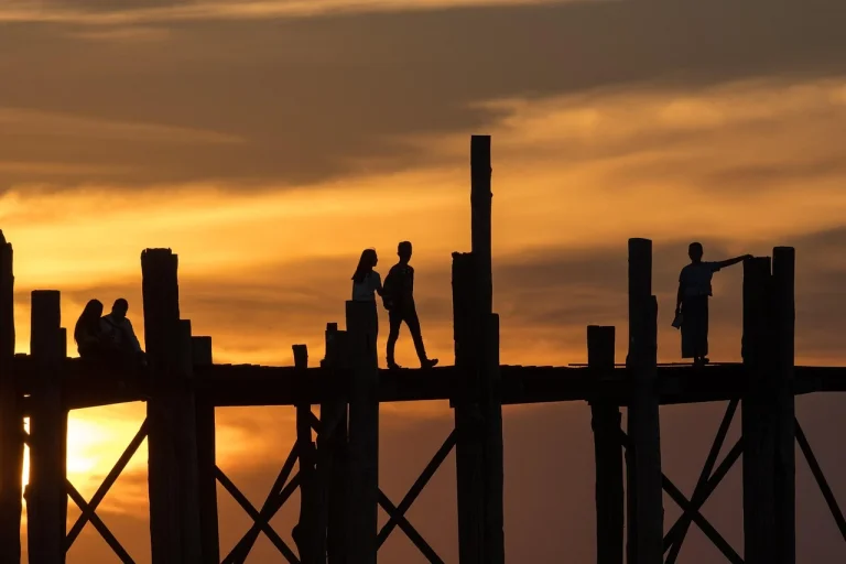 Karakteristik Unik Kayu Jati Belanda Yang Perlu Anda Tahu