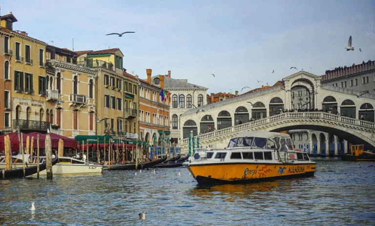 Mengapa Rak Gondola Kunci Sukses Toko Anda Di Situbondo?