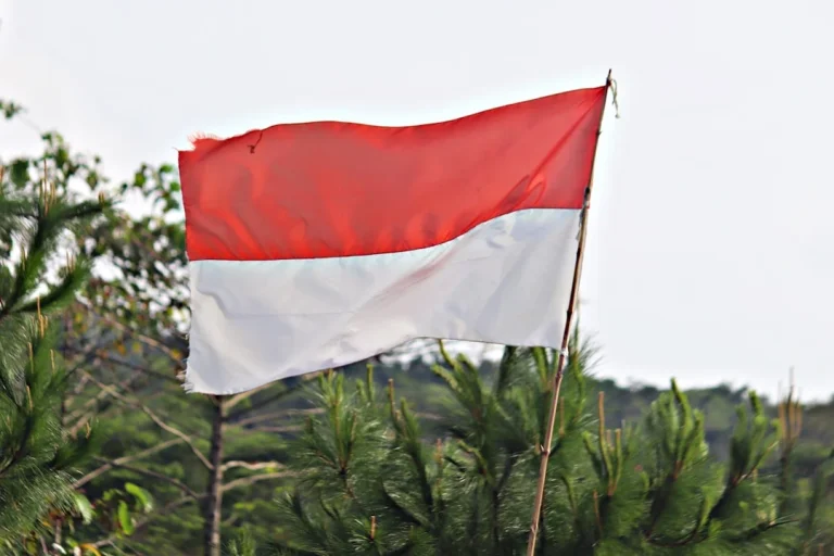 Mengapa Rak Gondola Kunci Sukses Toko Bangunan Anda?