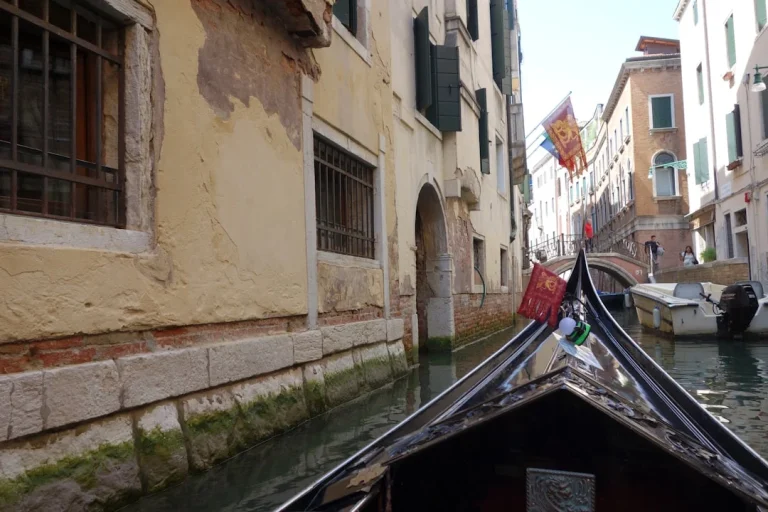 Mengungkap Rahasia: Jenis Rak Gondola Untuk Tiap Kebutuhan