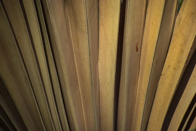 Metal Rack Wooden Shelf