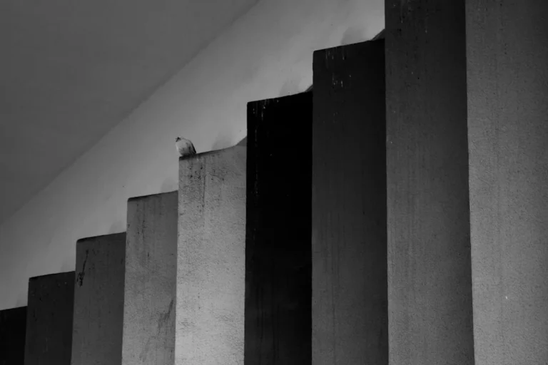 Metal Shelving Warehouse Racks
