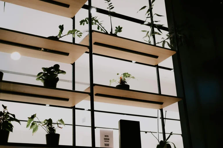 Modular Shelves Versatile Display