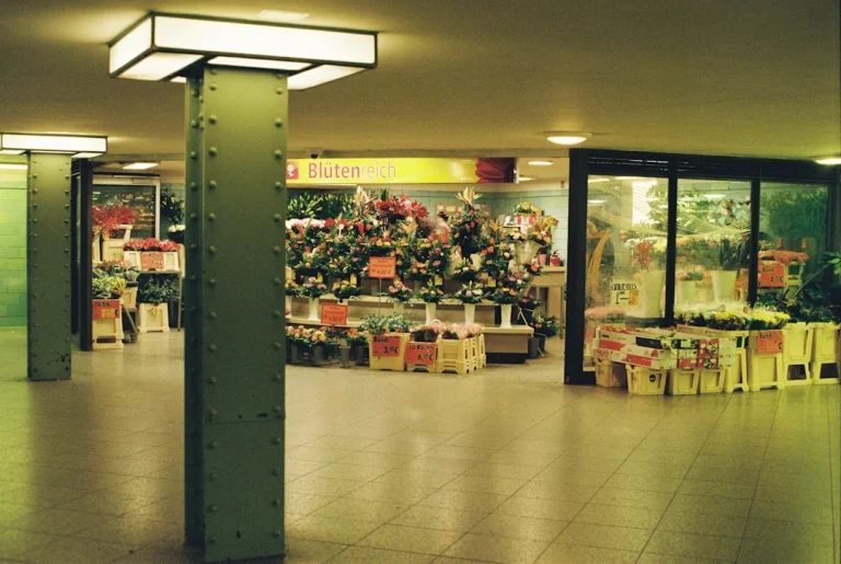 Organized Shelves Retail Store