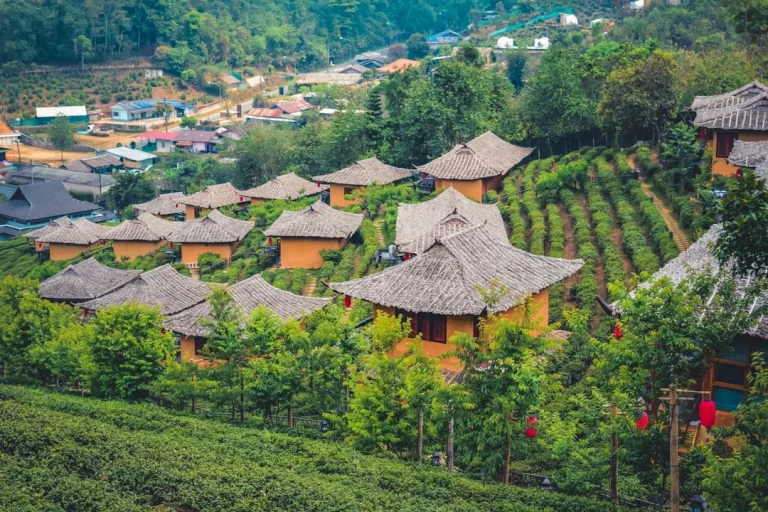 Rasakan Manfaat Nyata Dari Penataan Rak Yang Cerdas