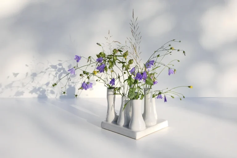 Shelf Design Product Arrangement