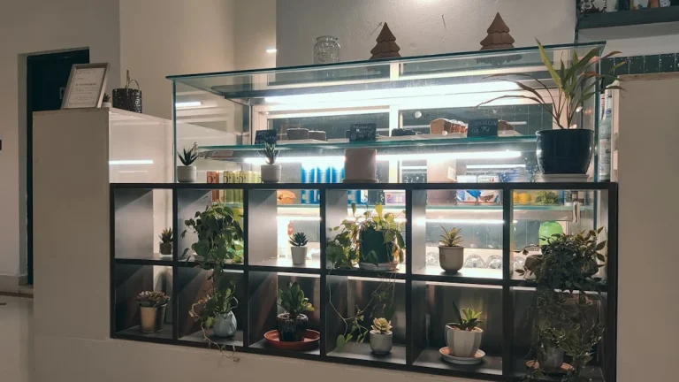 Shelf Types Store Display