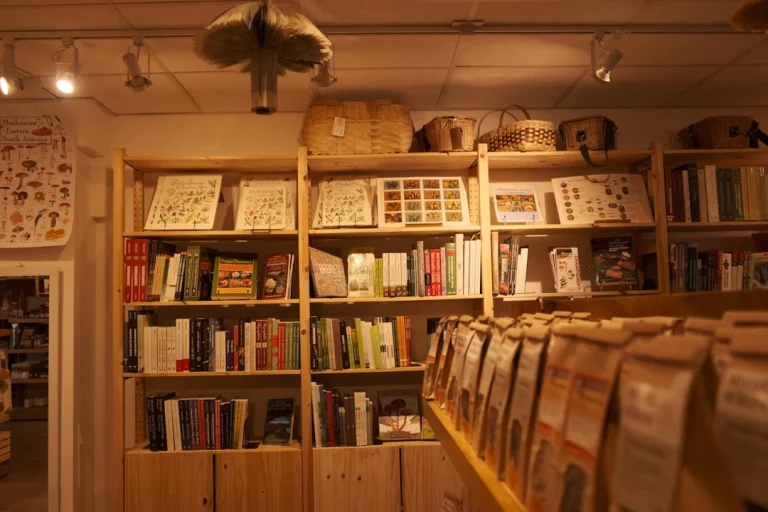 Shelf Types Store Fixtures