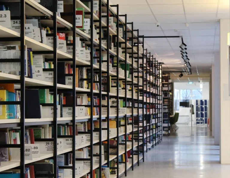 Shelving Racks Storage
