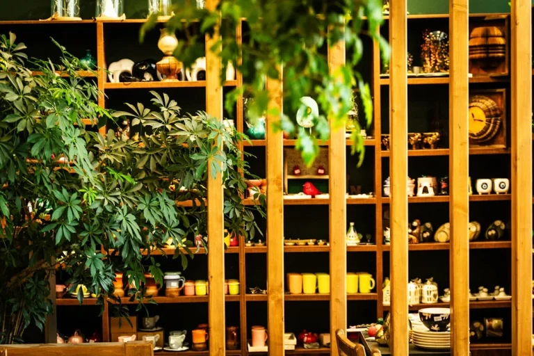 Shop Display Product Shelf