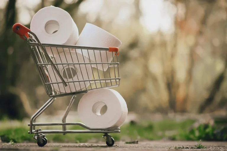 Shopping Cart Customer Shopping