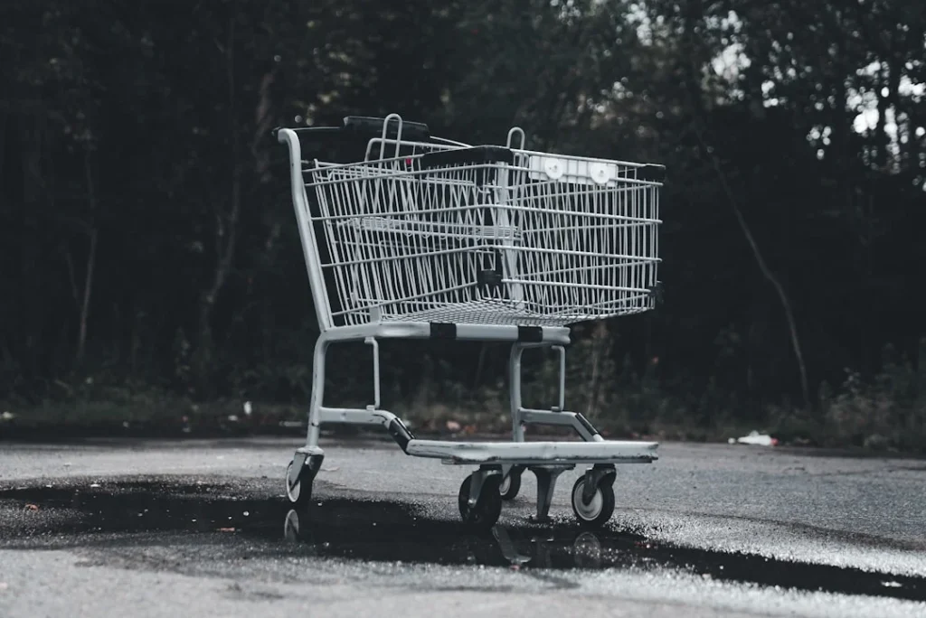 Shopping Cart Empty Aisle