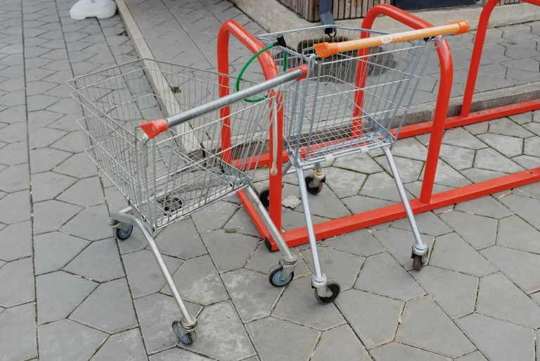 Shopping Cart Empty Store