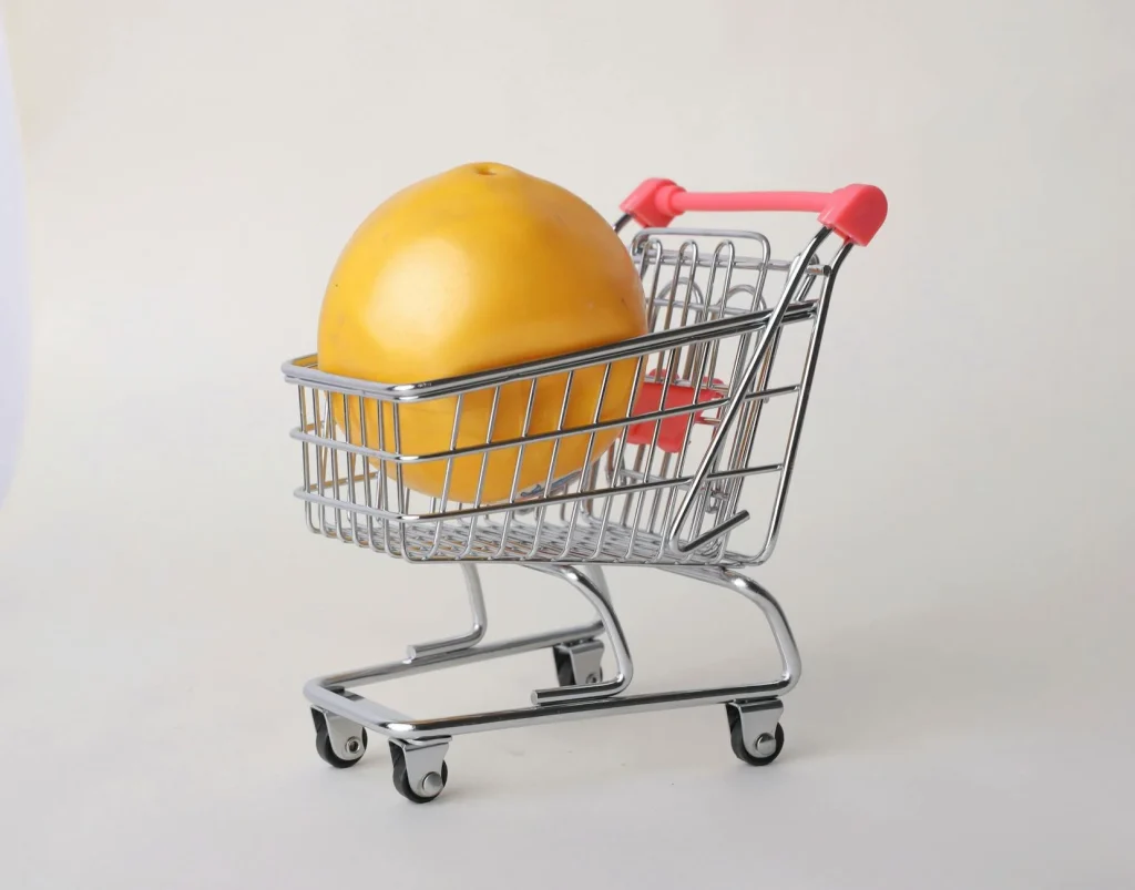 Shopping Cart Factory Inside
