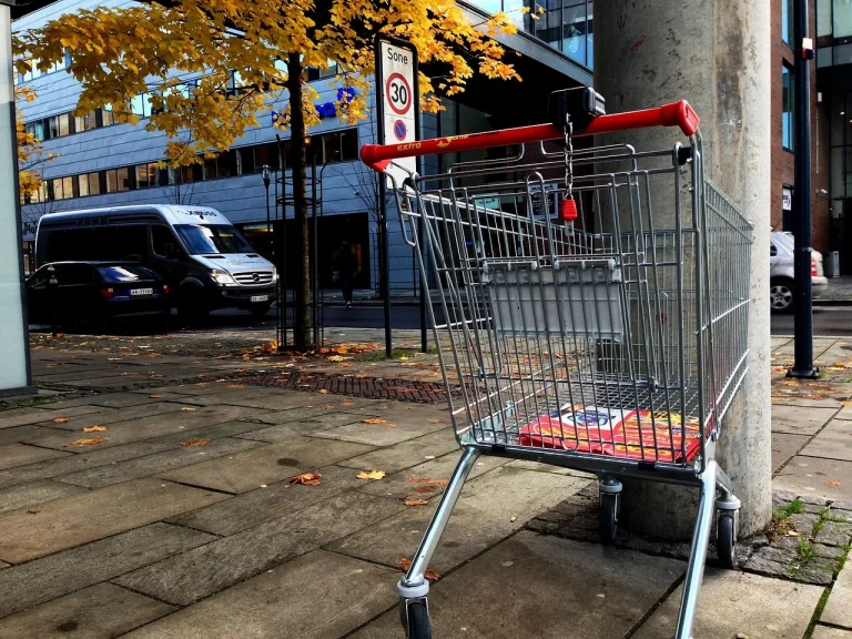 Shopping Cart Metal Rack