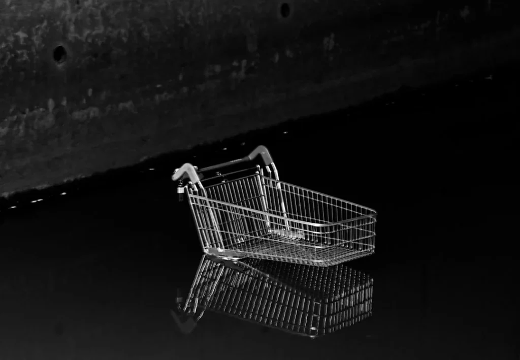 Shopping Cart Product Display