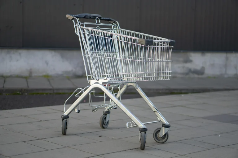 Small Shopping Trolley Mini Cart