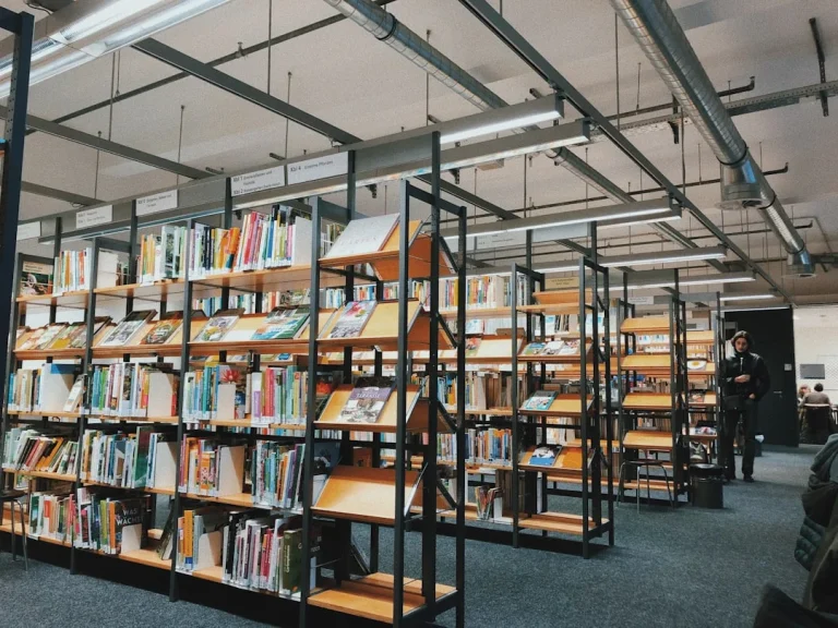 Store Shelves Budget Planning