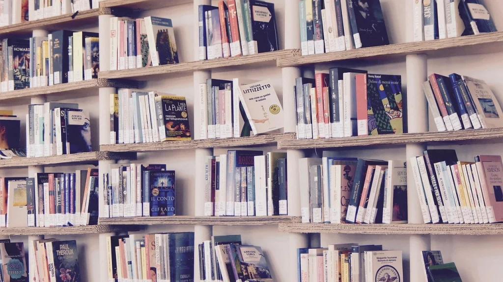 Tall Shelves Retail Shelving Store Interior