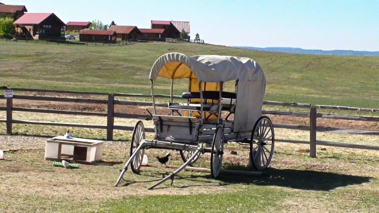 Used Rack Metal Wagon