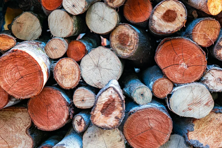 Wood Types Timber Lumber