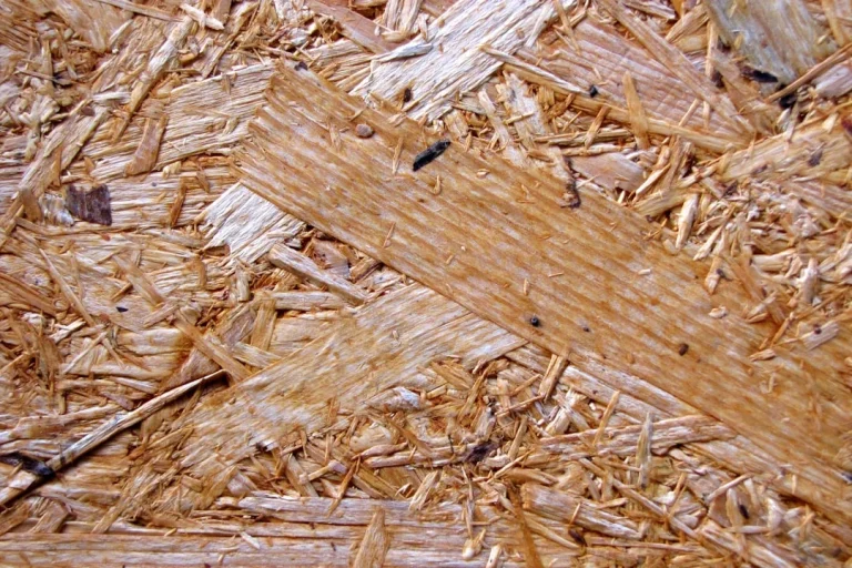 Wood Types Timber Material