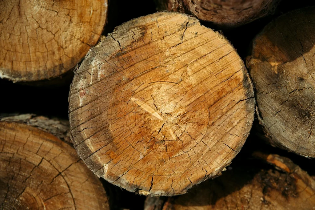 Wood Types Timber Samples