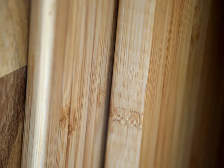 Wood Types Timber Samples