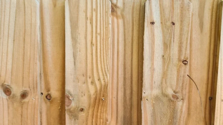 Wood Types Timber Samples