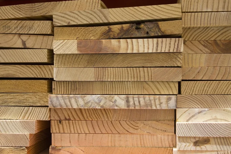 Wood Types Timber Samples Hardwood Samples